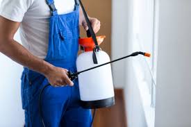 Reliable Bangor, WI Pest Control Solutions